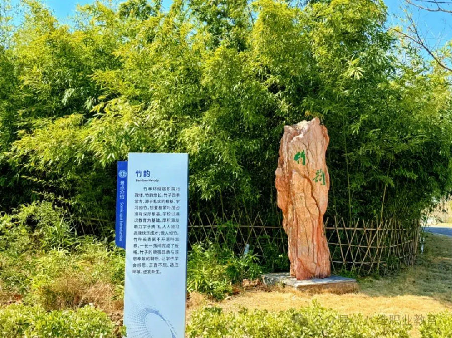 江蘇宿遷八維學校校園文化建設景觀上新啦