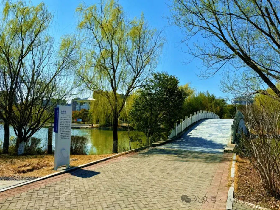 江蘇宿遷八維學校校園文化建設景觀上新啦