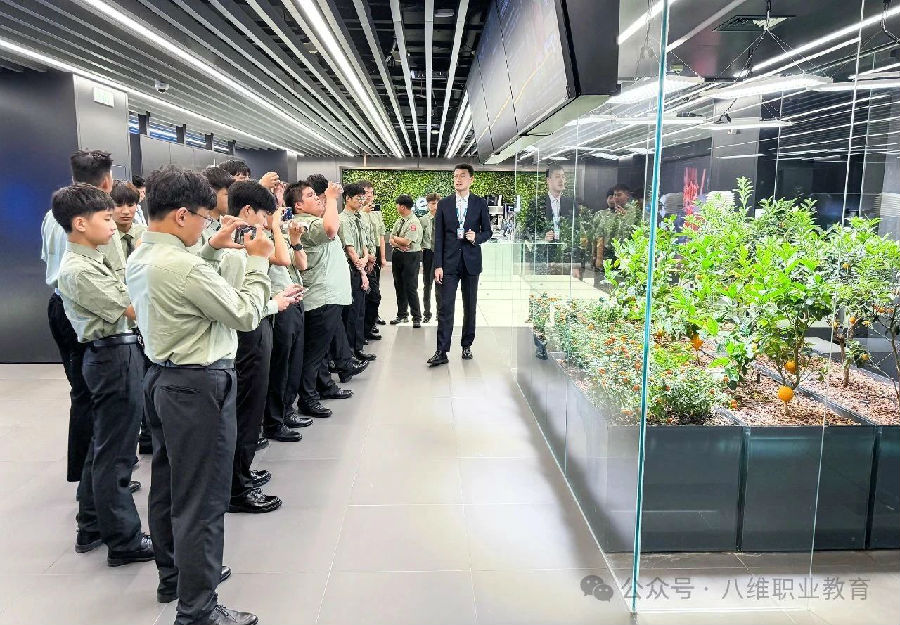 八維教育學子世界五百強企業研學紀實