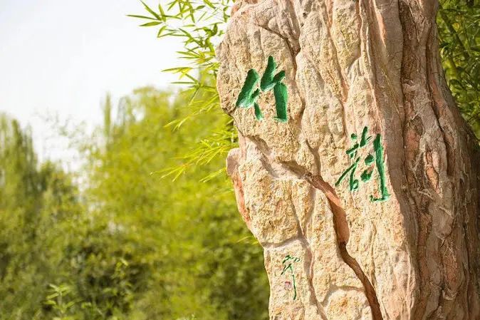 技術(shù)引領(lǐng)未來就業(yè)市場，看清全球人才招聘趨勢